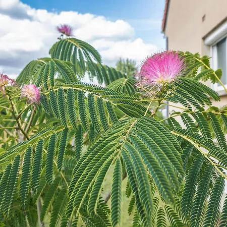 Le Flamboyant - Confort & Rarete - Premium Daire Saint-André-les-Vergers