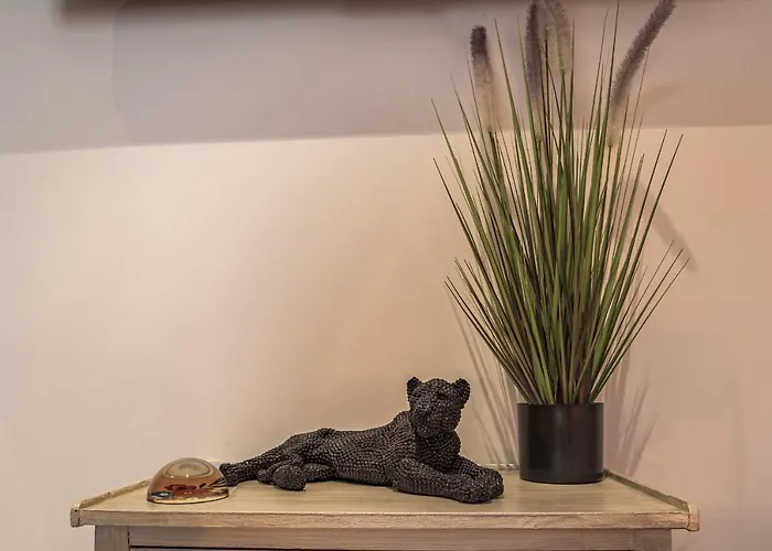 Le Flamboyant - Confort & Rarete - Premium Apartment *