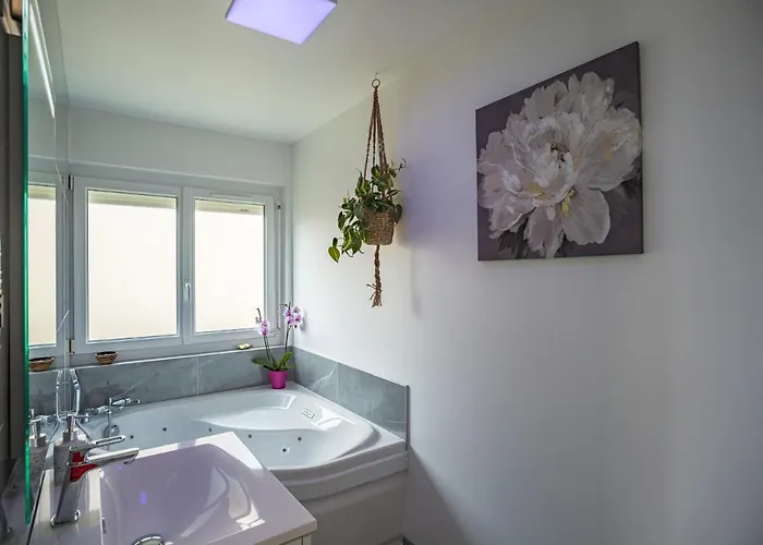 Le Flamboyant - Confort & Rarete - Premium Apartment