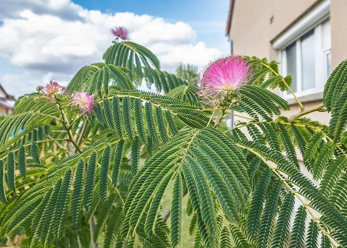 Le Flamboyant - Confort & Rarete - Premium Apartment Saint-Andre-les-Vergers